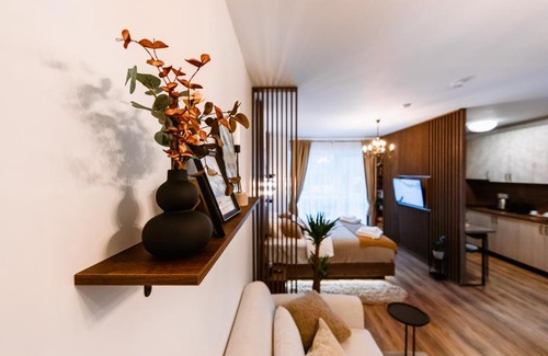 Sinaia Apartment | Elma Studio Sinaia