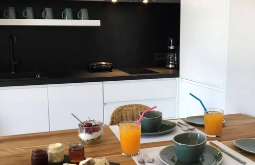 Aktio-Vonitsa Apartment | Elsa Modern Apartments. One bed Ground level Apt 2.
