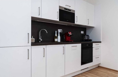 Andel Apartment | Elvis Deluxe Suite Su
