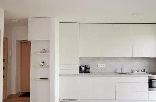 Senamiescio seniunija Apartment | Elzbietos centro apartamentai