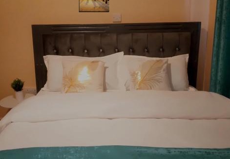 Mutunduri Apartment | Embu Air-bnb 1&2 Bedroom homestay