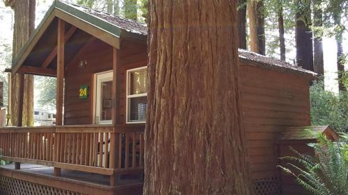 Trinidad Cabin | Emerald Forest Cabins