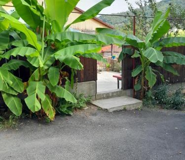 Sighnaghi Apartment | Emilia