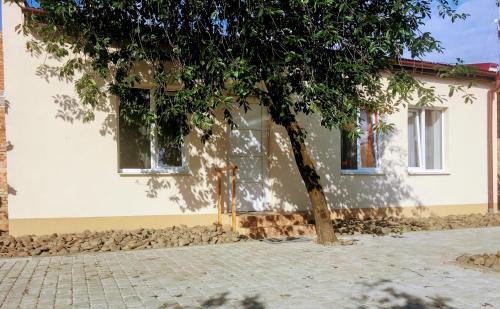 Mukachevo Apartment | Emilia - Villa & Parking