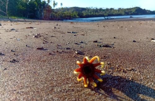 Taveuni Island East House | Emma's Homestay Explorer