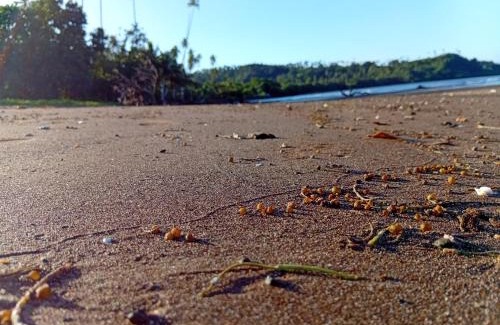 Taveuni Island East House | Emma's Homestay Explorer