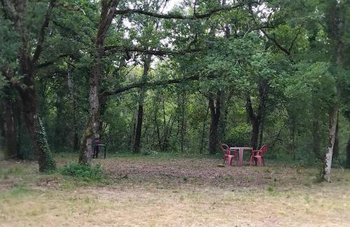 Saint-Aubin-de-Nabirat Other | EMPLACEMEMENT TENTE En FORET
