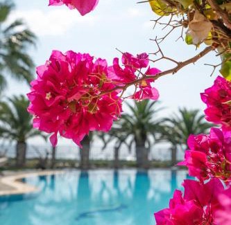 Gerakini Villa | Empyrean Greece Villa