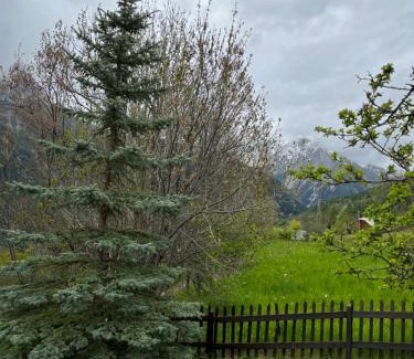 Pra Loup Apartment | En pleine nature avec jardin