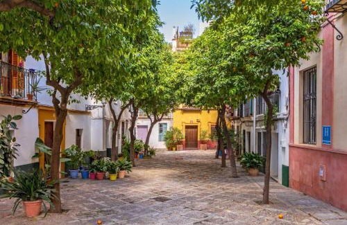 Santa Cruz Apartment | Encantador Apartamento a un paso de la Catedral