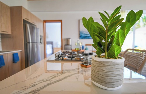El Limon Villa | Enchanting Beachfront Villa w Kayaks, Jacuzzi & Tropical Living in Las Terrenas