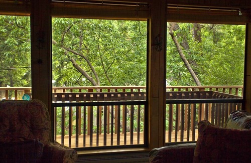 Broadmoor House | Enchanting Hideaway ON Cheyenne Creek! Five Minute Walk to Broadmoor!