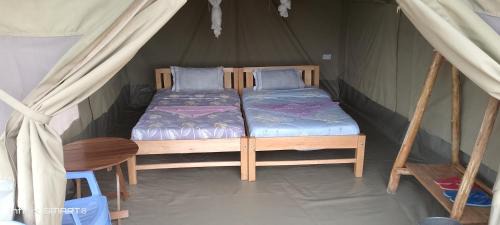 Maasai Mara Hotel | Enchoro mara