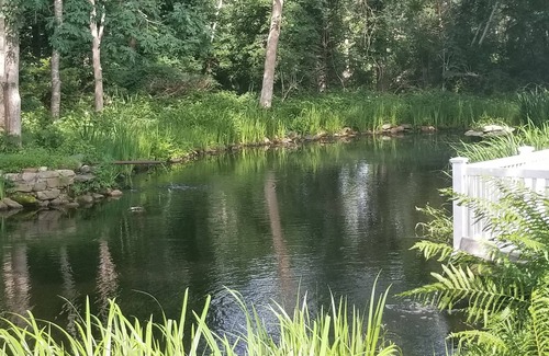 East Hampton North House | End of Cul De Sac Nice Bike Ride to Main Beach on back roads. Pond Setting.