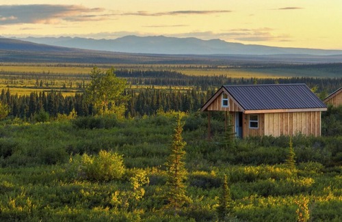 Healy Cabin | End of Stampede Dry Cabin, Near Denali