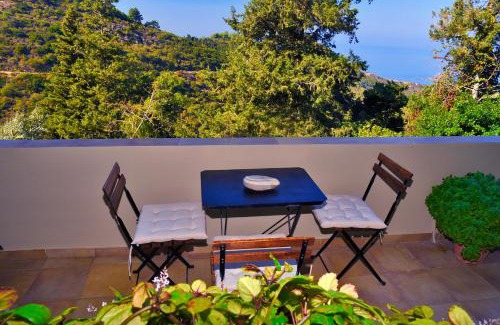 Ikaria Apartment | Endless green 1 Arethousa Ikaria