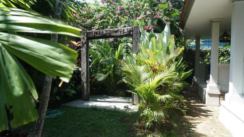 Downtown Kuta Apartment | Endless Summer Surf Camp Kuta