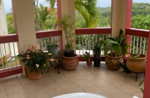 Estate Montpellier East Villa | Enjoy 4.5 Acres of Private Space: Pick fruit in Season: Sunbath: Swim: Relax