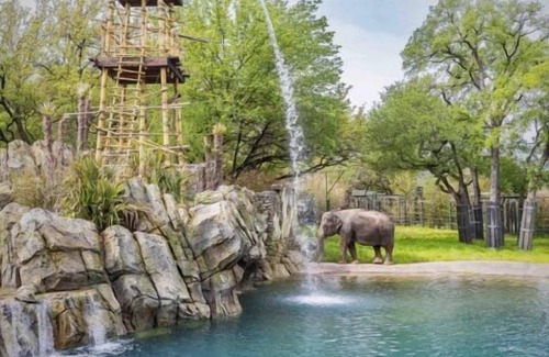 Fort Worth House | Enjoy a Hassle-Free and Suiting Stay! 3 Family-friendly Units! Indoor Pool