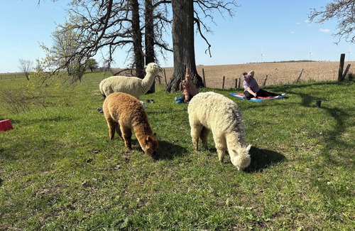 Adelaide Metcalfe House | Enjoy a Rustic Farm Stay on our Agri-Tourism & Wellness Farm! Cozy Space for two