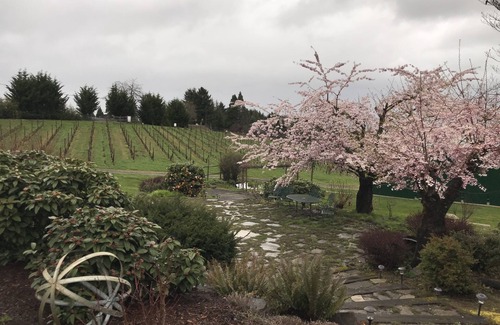 Newberg Apartment | Enjoy a weekend in Oregon's Amazing Wine Country