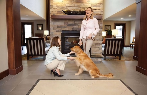 Las Colinas Hotel | Enjoyable Stay! Pet Friendly! Minutes’ Drive to Dallas World Aquarium!
