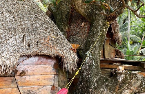 Little Corn Island House | ENSUEÑOS NATURAL RESERVE Little Corn Island Nicaragua