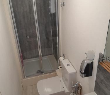 Sketty House | Ensuite basic room budget Sketty 5