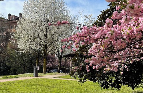 San Giuliano Milanese Apartment | Entire apartment immersed in nature at few km from Milan