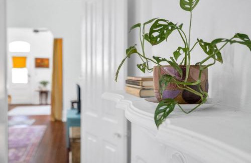 Bywater Apartment | Entire Apartment Bywater New Orleans Great Location