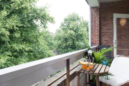 Amsterdam South Apartment | Entire Apartment in Amsterdam