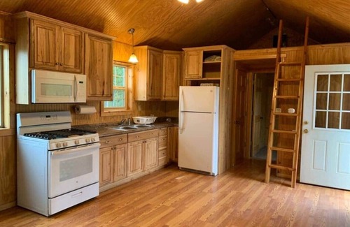Big Lake House | Entire Cabin on private Airstrip