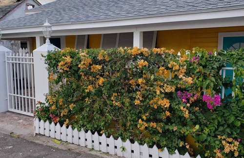 Nassau Cottage | Entire Cottage near beach and Downtown