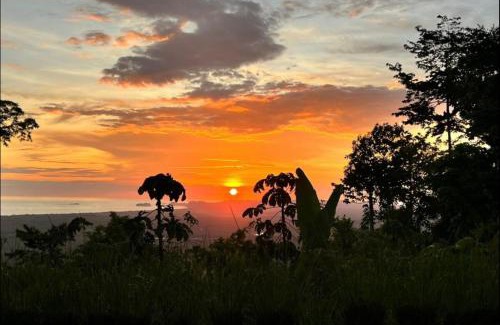 Portalon Apartment | Entire homestay accommodation in Savegre de Aguirre, Costa Rica