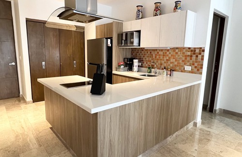Gonzalo Guerrero Condo | Entire luxury 2 BR condo in heart of Playa Del Carmen