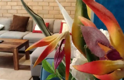 Narasapura Apartment | Entire villa near Yelahanka, Bangalore