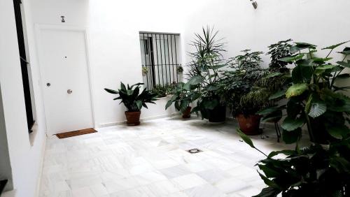 Old Town Apartment | ENTREARCOS