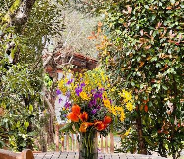 Lucca Historical Center House | Enzo’s House