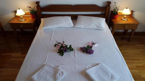 Delphi House | Epic Rooms