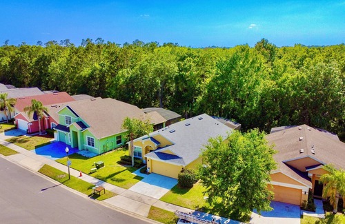 Sandy Ridge House | Epic Themed Luxury Home 20 min Disney World dw4 Pool and Hot Tub