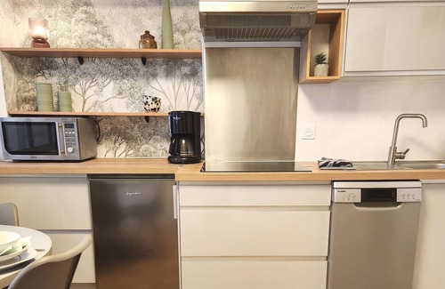 Aix-les-Bains City Center Apartment | Epicurieux 3 Comfort Apartment