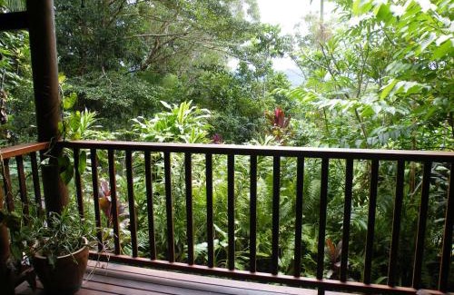 Cow Bay Bed & Breakfast | Epiphyte B & B