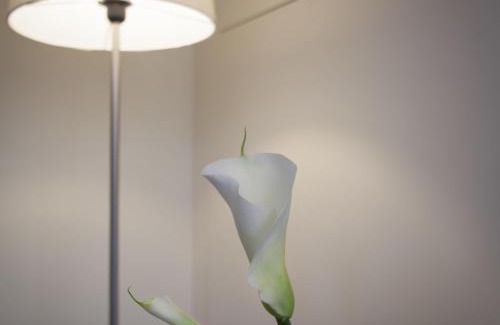 Historic Centre Apartment | Erïk Langer Pedrocchi Suites