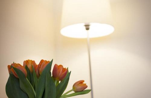 Historic Centre Apartment | Erïk Langer Pedrocchi Suites