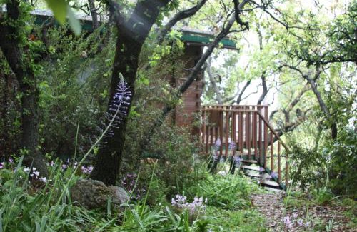 Amirim House | Eretz Hagalil - Land of Galilee