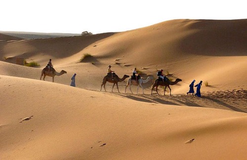 M'Hamid El Ghizlane Other | Erg Lihoudi Luxury desert camp with Camel ride, meals & sandboarding