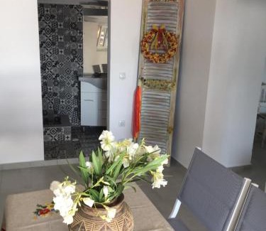 Antiparos Apartment | Ergina Summer Resort