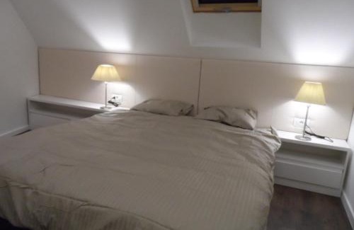 Belso-Ferencvaros Apartment | Erkel Rooftop Suites