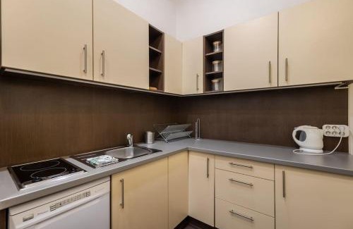 Erzsebetvaros Apartment | Ermosa apartment