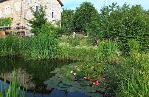 Yssingeaux Bed & Breakfast | Escapade Romantique dans Ferme Restaurée avec Spa et Jardin à Yssingeaux - FR-1-582-500